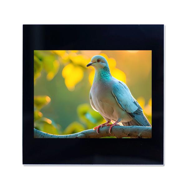 Buy cheap 3.45 Inch Capacitive Touch Panel 800*480 Industrial Touch Display High Brightness from wholesalers