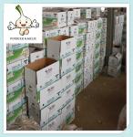 Buy cheap Fresh White Garlic in 10kg Packing mesh bag export 5cm normal white garlic from wholesalers