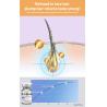 Buy cheap Herbal Natural Hair Regrowth Serum Treatment 10ml Custom Private Label from wholesalers
