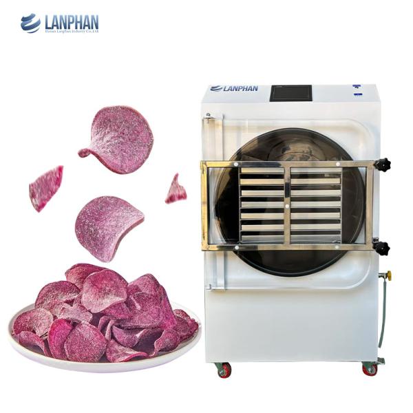 Buy cheap 55kg-60kg/batch 14 Trays Commercial Freeze Drying Machine 4m2 Freeze dryer for Food from wholesalers