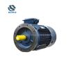 Buy cheap IE2 IE3 YE2 YE3 AC Electric Motor Asynchronous 3 Phase B5 Mounting 0.55kw 0.75kw from wholesalers