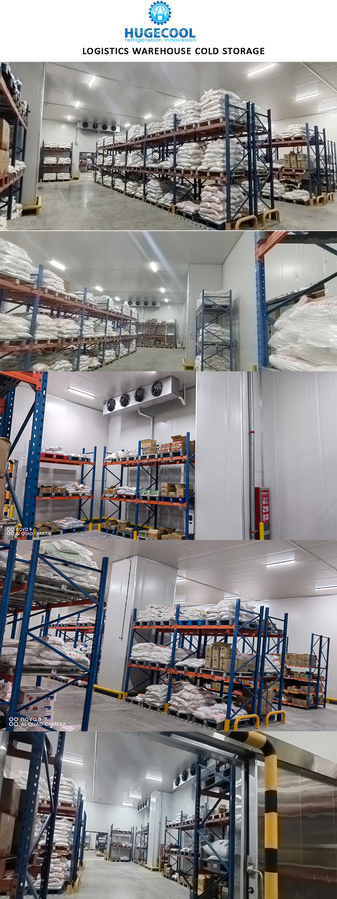 Logistics Cold Storage For Fruit And Vegetable Storage 1400 Tons Large Cold Storage Room Warehouse