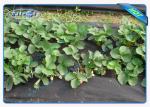 Black 40 Gram Heavy Duty Agriculture Non Woven Cover , Weed Control Cloth With