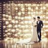 Buy cheap LED Curtain Light, LED Christmas Light, LED Holiday Light, LED Wedding Light, LED Light from wholesalers