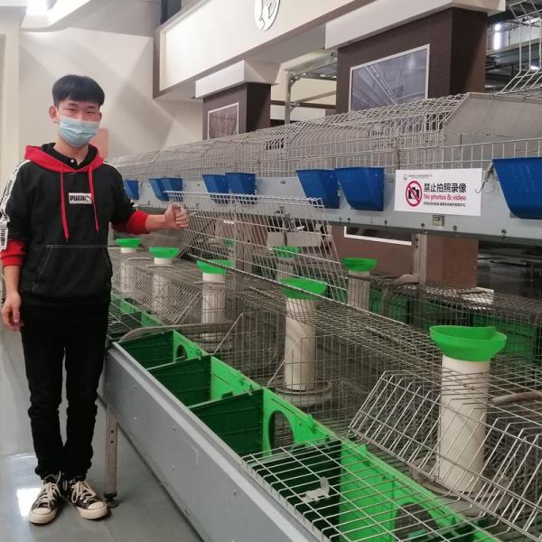 Quality Hot Dipped Galvanized Meat Rabbit Battery Poultry Cage Commercial Rabbit Farm Cage Equipments Battery Rabbit Cage for sale