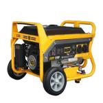 Industrial Natural Gas Powered Electric Generator AC Single Phase
