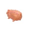 Buy cheap 22cm Grunter Indestructible Plush Cute Squeaky Dog Toys from wholesalers