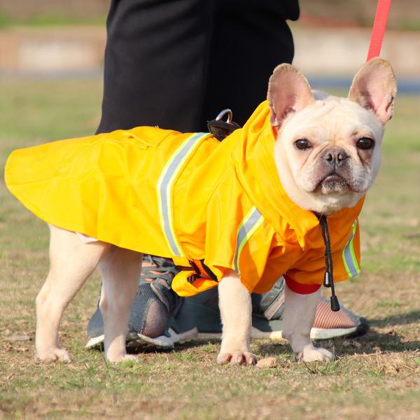 Buy cheap Waterproof Material Pet Raincoat Poncho Type Big Dog Clothes Pet Clothing And Accessories from wholesalers