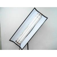 Buy cheap 4ft 2 lamps Fluorescent Tublite for Film and Studio product