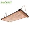Buy cheap Full Spectrum Osram 730nm 2x2 Led Grow Light from wholesalers