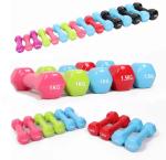 Colorful Cast Iron Fitness Dumbbell , 2kg Hex Dumbbells Portable