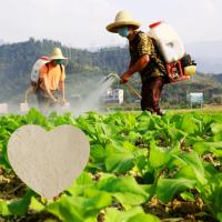 Buy cheap High Organic Carbon Enzymatic Amino Acid Powder Fertilizer 85% product