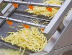 Factory price turkey production line making fries machine french with CE
