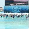 Buy cheap ISO9001 Water World Wave Pool Vacuum Wave Pool For Adult Play from wholesalers