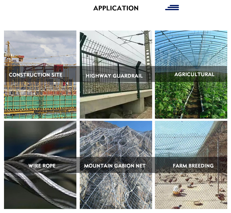 Chinese Galvanized Steel Wire Carbon Iron Wire For Mesh With ASTM Standard And Punching Service