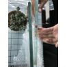 Buy cheap Industrial 3mm-19mm Ultra Clear Colored Tinted Tempered Glass for Shower Toughened Glass from wholesalers