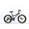 Buy cheap WANDA 20*2.125 Tyre 20" Steel Mountain Bike 7SP Kids' Bike With Safe And Durable Design from wholesalers