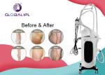 Vertical Cryolipo Fat Freezing Equipment Weight Loss Body Slimming 110V / 220V