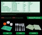 plastic tray, food tray, food container, Fast Food Tray biodegradable plastic 5