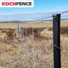 Buy cheap Ornamental Use 2m Y Type Star Metal Fence Posts Hot Dipped Galvanized from wholesalers