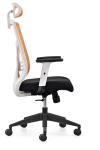 Buy cheap ergonomic chair executive chair office mesh  chair with ajustable lumbar support flexibale armrest and injection foam from wholesalers