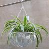 Buy cheap Iron Balcony Flower Pot Hanging Basket from wholesalers