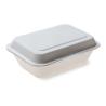 Buy cheap Sugarcane Biodegradable Clamshell Boxes Tableware Take out Food from wholesalers