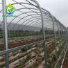 Buy cheap 8m*30m Hydroponic Poly Tunnel Greenhouse Heavy Duty Plastic Sheeting Greenhouse from wholesalers