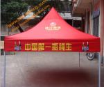 10'x10' Promotional Tent Advertising Wholesale Waterproof Trade Show Folding