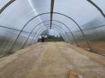 Energy-Efficient Drying Greenhouse with Ventilation for Controlled Vegetable and