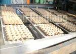 High output Waste Paper Carton Pulp Molded Egg Tray Making Machine Price