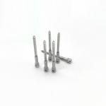SS304 Cross Hole Meter Screw, Stainless Steel Smart Power Electric Meter Sealing