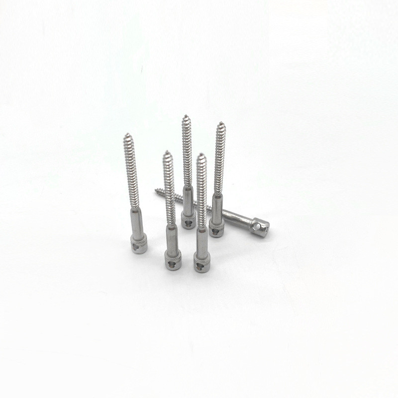 M4*20 Stainless Steel lead seal screw Cross Recessed Bored Head Electricity Meter Lead Seal Screw