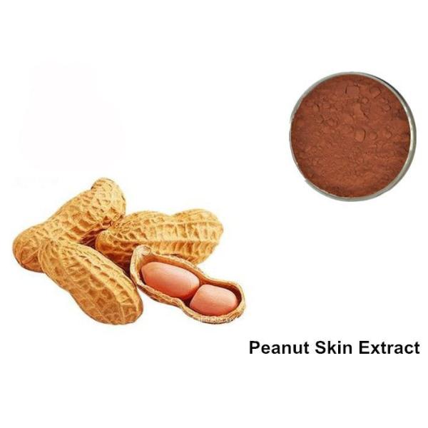 Buy cheap 95% Proanthocyanidins Peanut Skin Anthocyanin Extract Powder from wholesalers