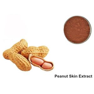 Buy cheap 95% Proanthocyanidins Peanut Skin Anthocyanin Extract Powder from wholesalers