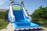 Buy cheap Play Inflatable Water Slides For Kids / Dolphin Inflatable Pool Water Slide from wholesalers