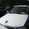 Buy cheap Car Paint Surface Protection Film 1240mm*200M Anti UV Acratch-Resistent Acid And Alkali Resistance from wholesalers