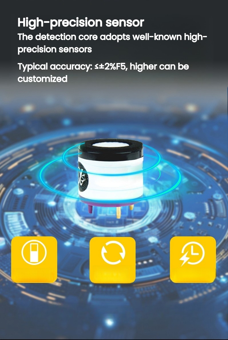 Ptm600-S Smart Gas Analyzer for on-Site Environmental and Safety Monitoring