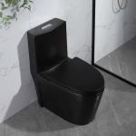 Siphonic One Piece Elongated Dual Flush Toilet Skirted Trapway 300mm Rough In