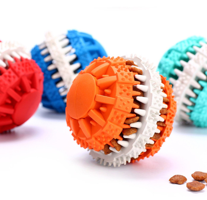 the best chew toys for dogs
