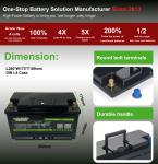 12.8V 100Ah LiFePO4 Recreational Vehicle Batteries Deep Cycle L4 L5 For RV