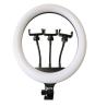 Buy cheap 14inch selfie ring light streamer led light smartphone holder from wholesalers