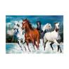 Buy cheap PET 40*60cm 3D Lenticular Pictures For Home Decoration And Gifts from wholesalers