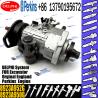 Buy cheap DP200 Diesel Engine Fuel Pump 8923A950G 8923A952G For DARWIN 4T from wholesalers