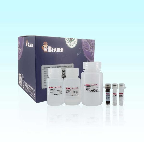Buy cheap 20 Rxns BeaverBeads Animal Viral DNA RNA Kit For Scientific Research from wholesalers