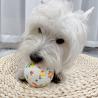 Buy cheap Dog Chew Toy ETPU Solid Ball Interactive for Pet Toys and Accessories from wholesalers