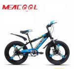 OEM 21speed Full Suspension Mountain Bike