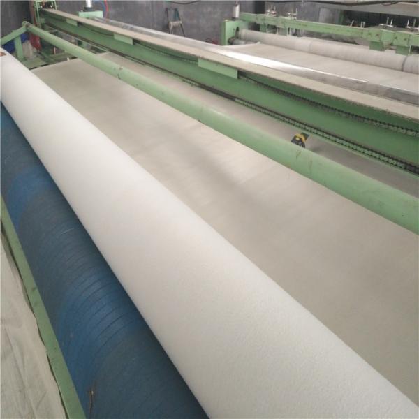 PP PET Geotextile for Landfill Project Non Woven Geo Fabric Needle Punched