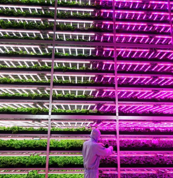 Buy cheap 2000.000kg Water Sprayer Controlled Environment Room for Seeding/Vegetables/Fruit/Flower from wholesalers