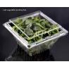 Buy cheap Customized square anti fog PET transparent vegetable lock fresh box disposable blister herb clamshell packaging lettuce plastic packaging from wholesalers
